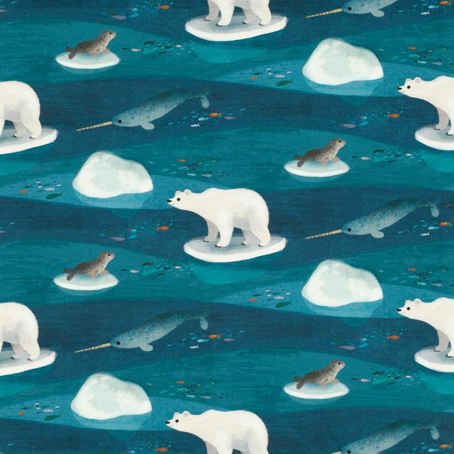 Villa Nova  Arctic Antics Arctic Antics Sample