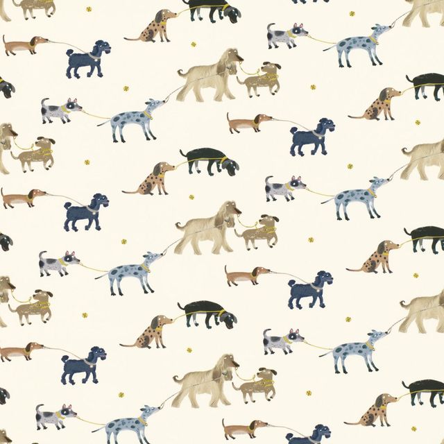 Villa Nova Picturebook Walkies Walkies