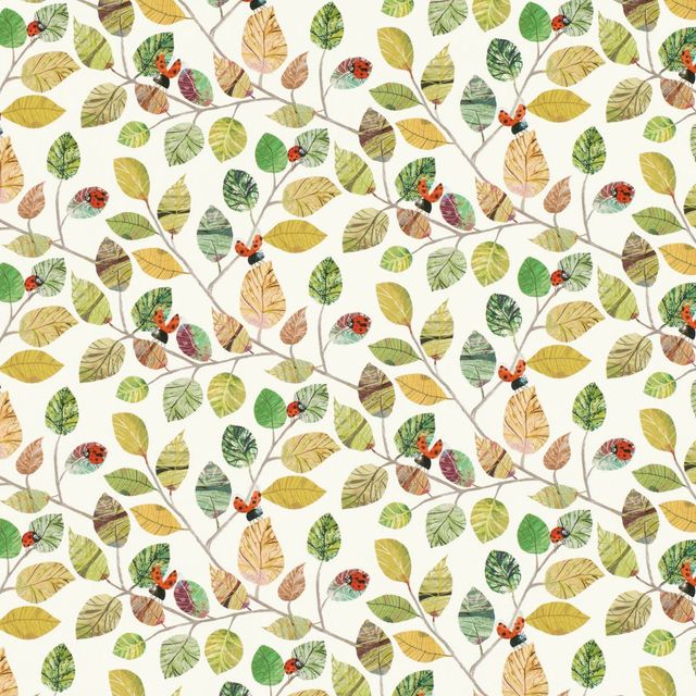 Villa Nova Picturebook Ladybugs Ladybugs