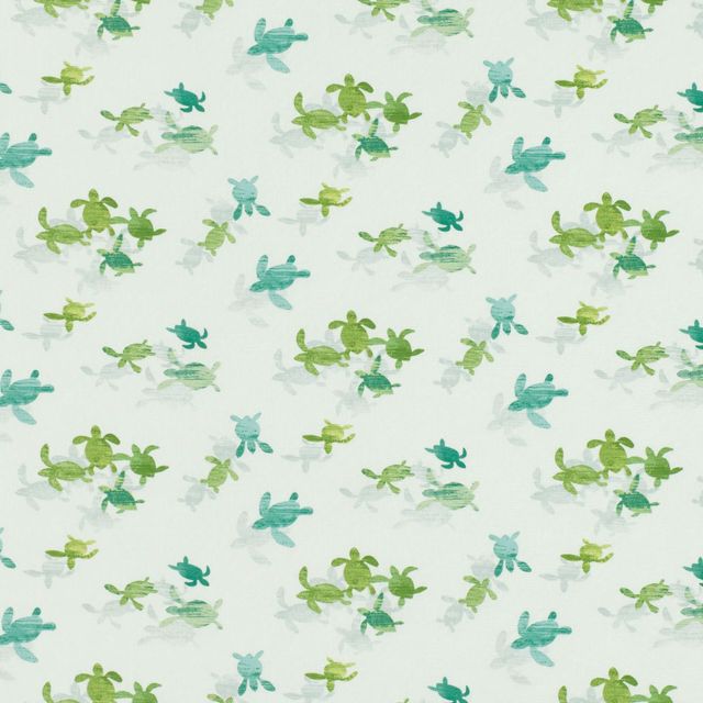 Villa Nova Picturebook Tiny Turtles Tiny Turtles