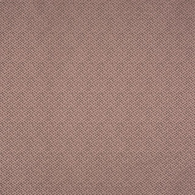 Prestigious Textiles  Annaliese Blush Sample