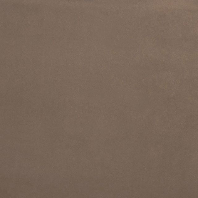Prestigious Textiles Majestic  Belgravia Camel