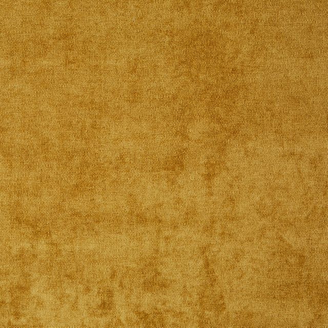 Prestigious Textiles Bravo  Bravo Gold