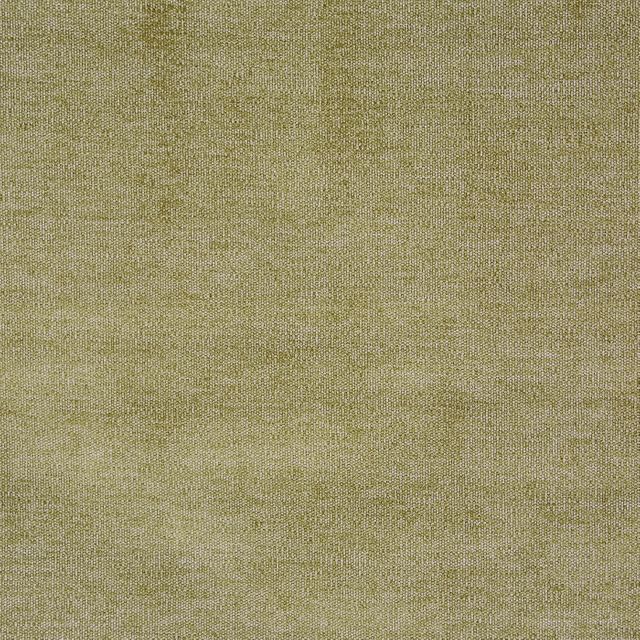 Prestigious Textiles Bravo  Bravo Willow