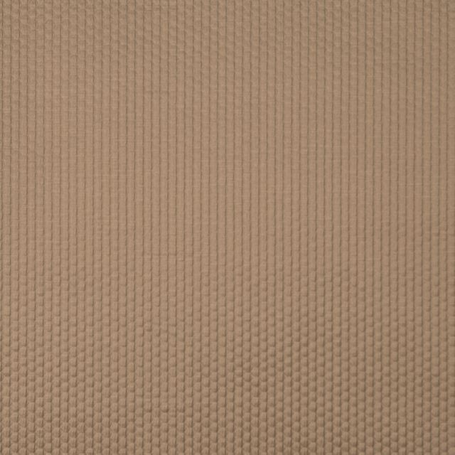 Prestigious Textiles Fusion  Emboss Honey