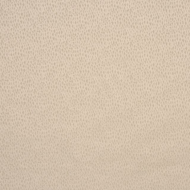 Prestigious Textiles Icon  Facade Putty