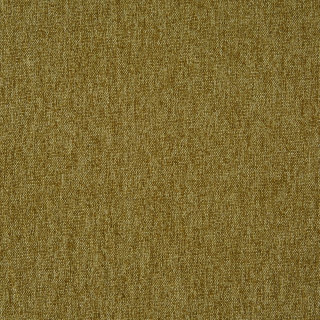 Prestigious Textiles Stamford  Stamford Grass