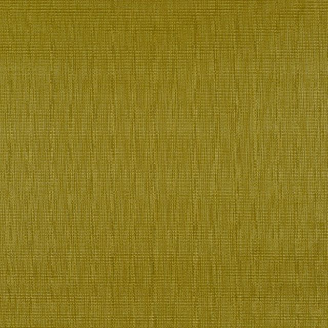 Prestigious Textiles Bali  Talu Lime