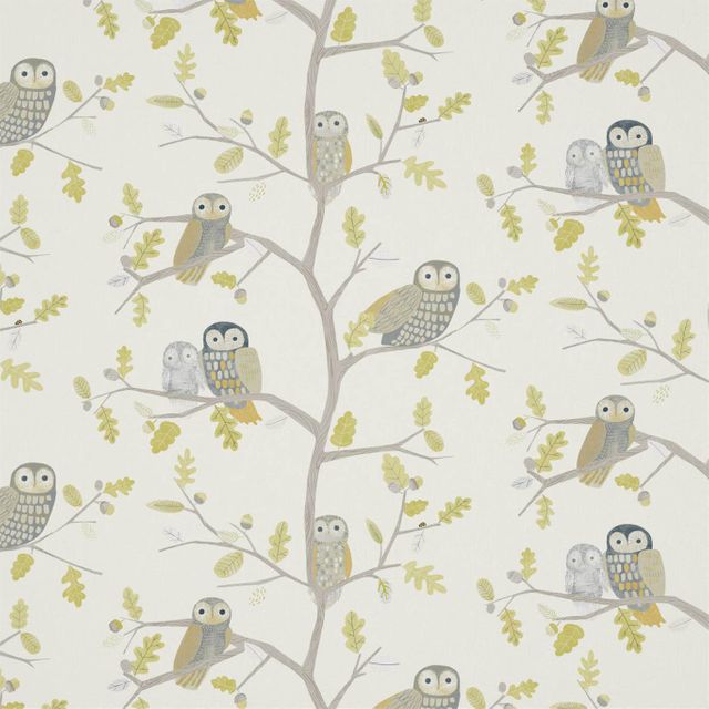 Harlequin Book of little treasures Little Owls Kiwi