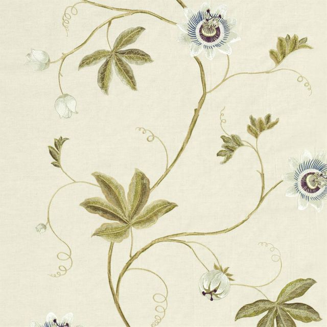 Sanderson A Celebration Of The National Trust Fabrics Passion Vine Sage