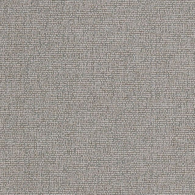 Clarke and Clarke Purus Acies Taupe