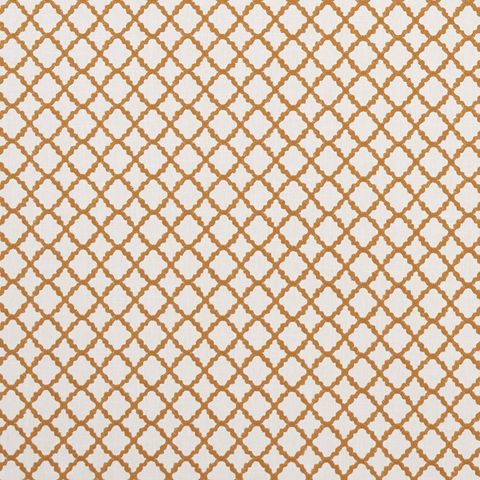 Ariyana Spice Upholstery Fabric