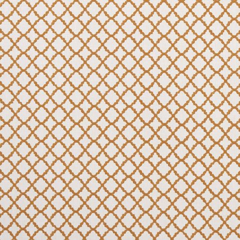 Ariyana Spice Upholstery Fabric