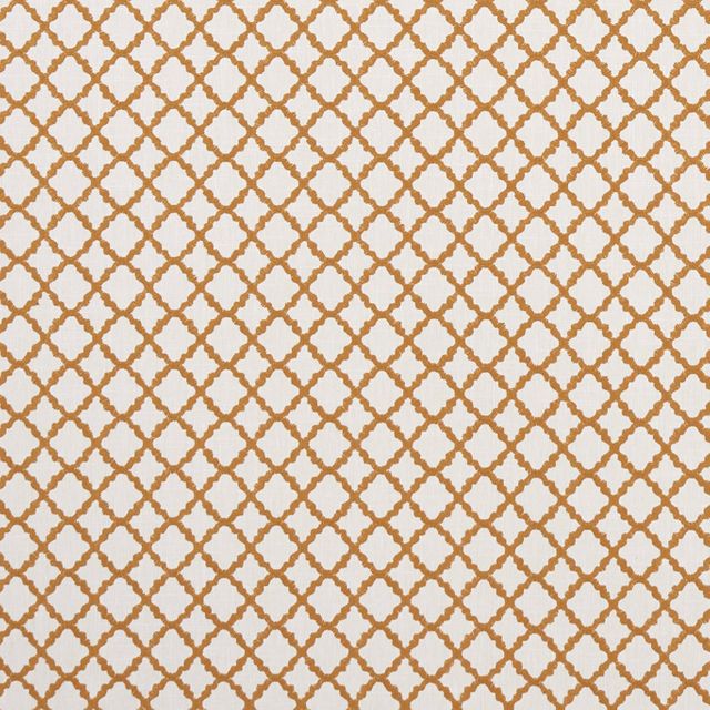 Ariyana Spice Upholstery Fabric