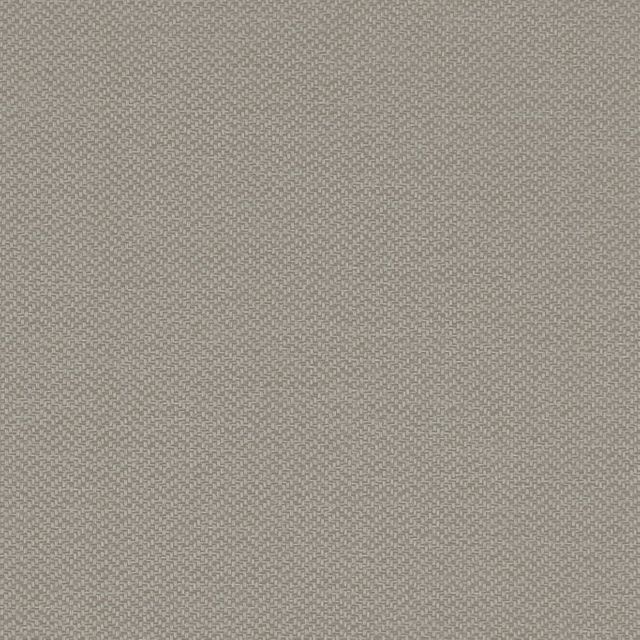 Clarke and Clarke Purus Claro Linen