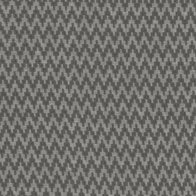 Clarke and Clarke Origins Gallioni Charcoal