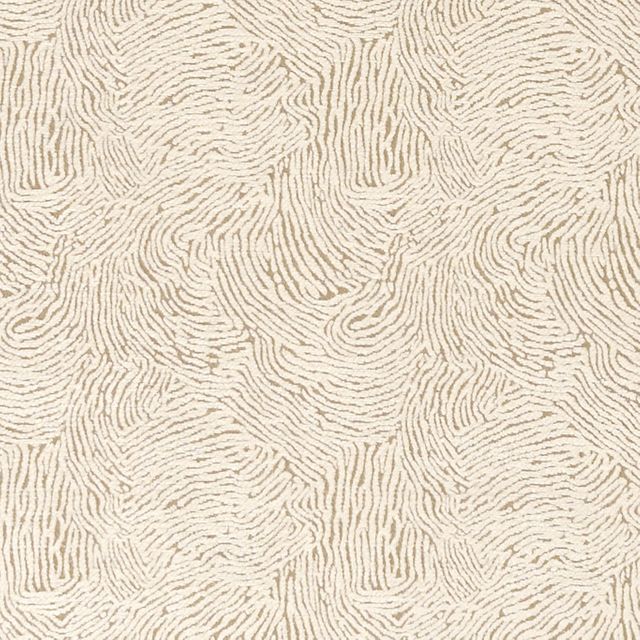 Clarke and Clarke Avalon Levante Ivory