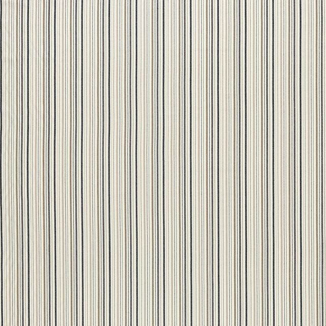 Clarke and Clarke Edgeworth Maryland Charcoal/Natural