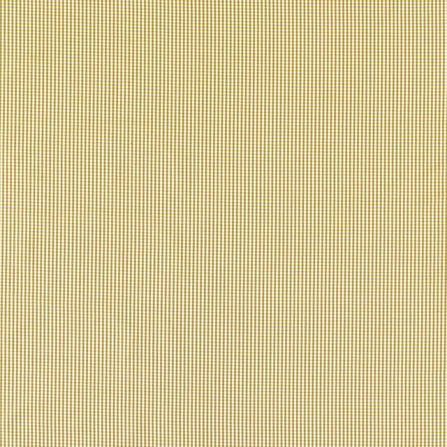 Clarke and Clarke Edgeworth Windsor Ochre