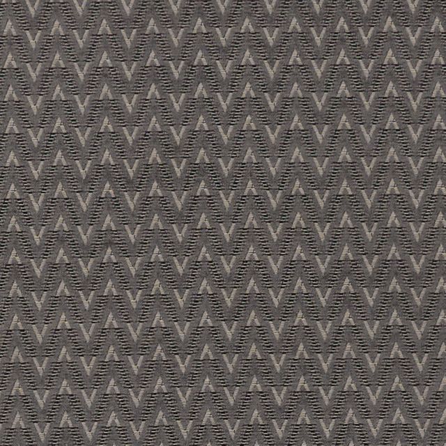 Clarke and Clarke Avalon Zion Charcoal
