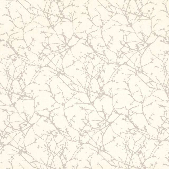 Romo Cubis Acacia Oyster