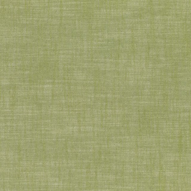 Romo Leoni Leoni Cypress