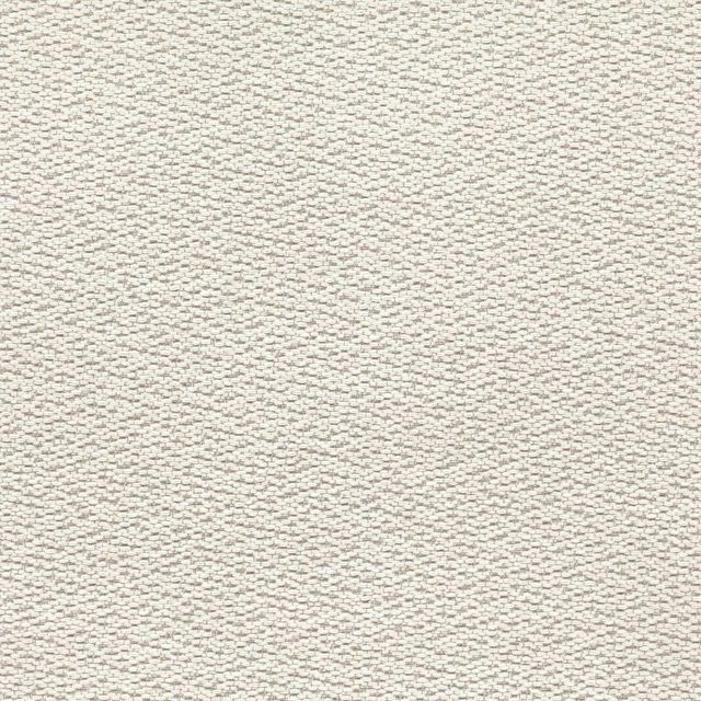 Black Edition Ikulu Ruba Silver Birch