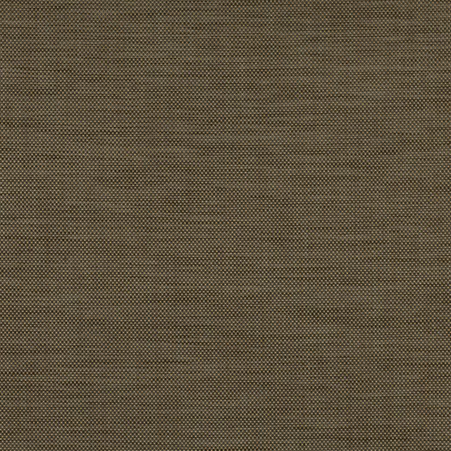 Black Edition Lorentz Mezzeh Ochre