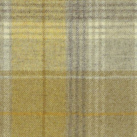 Jim Dickens Carousel Carousel Check Barley Fabric