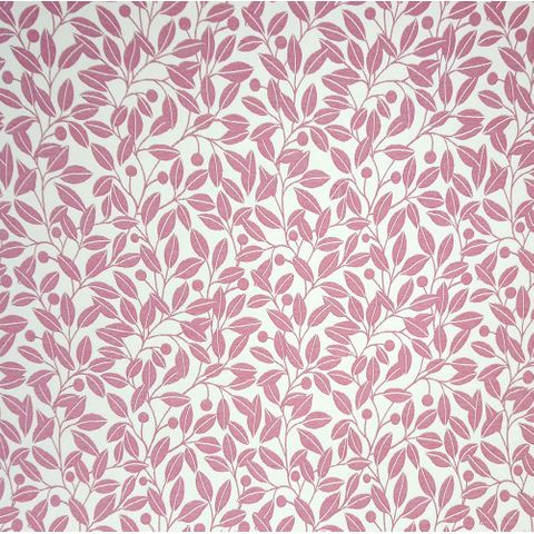 Pisa Coral Voile Fabric