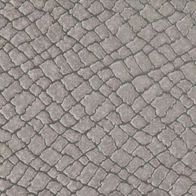 Zinc Textiles Salamander Plateau Silver Grey