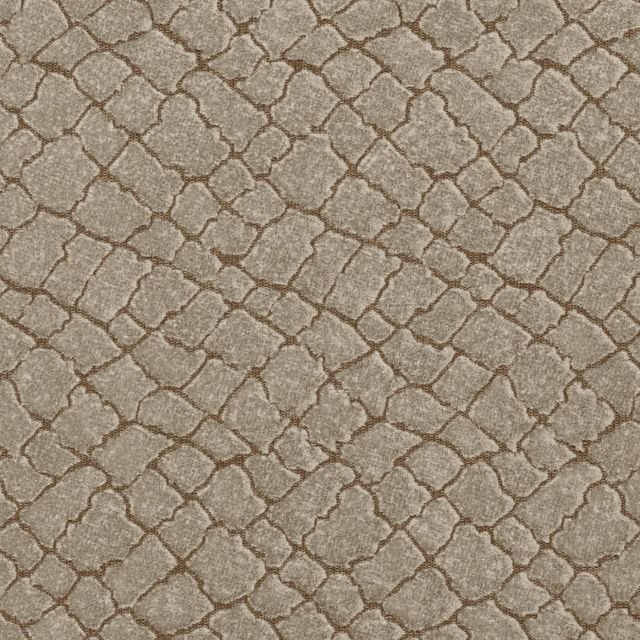Zinc Textiles Salamander Plateau Tobacco