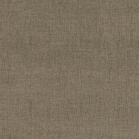 Conchiglia Driftwood