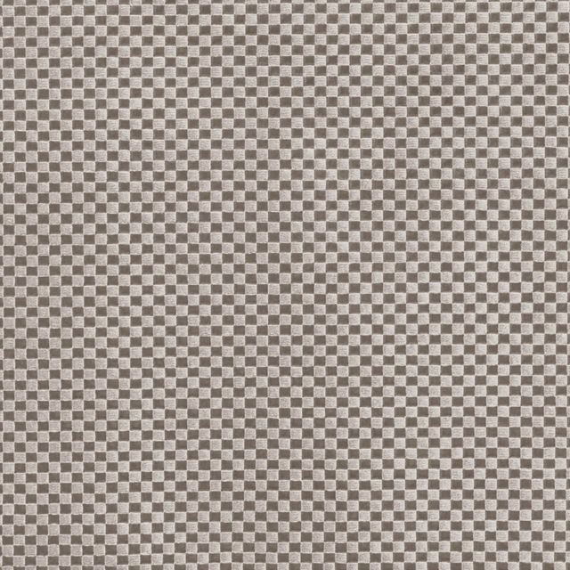 Zinc Textiles Parisienne Bristol Spacedust