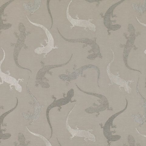 Salamander Driftwood