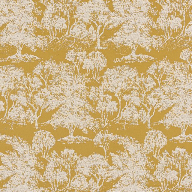 Bill Beaumont Oasis Acacia Ochre
