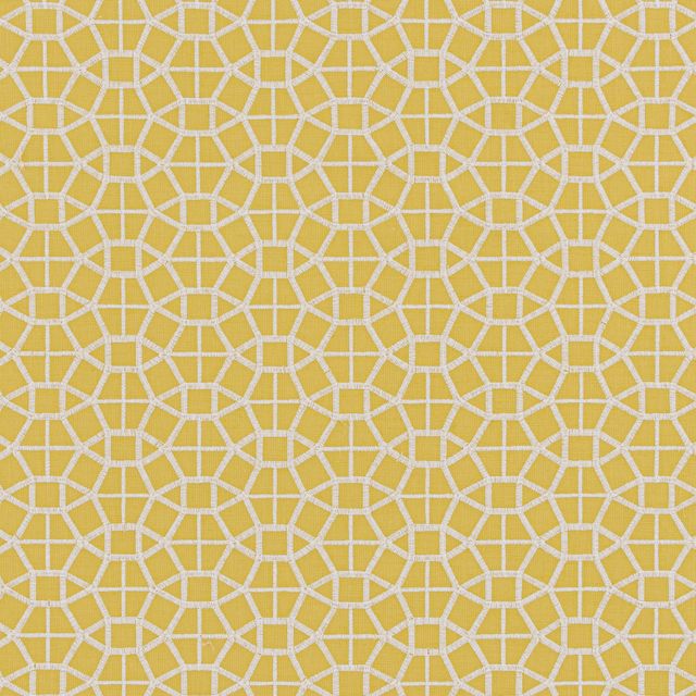 Bill Beaumont Oasis AlHasa Ochre