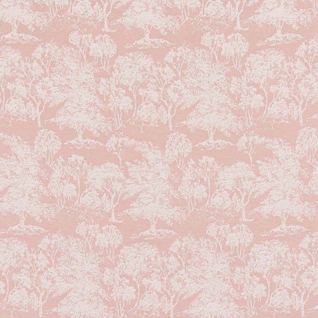 Bill Beaumont Oasis Acacia Blush