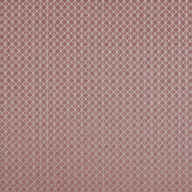 Bill Beaumont Empire Persia Rose Pink