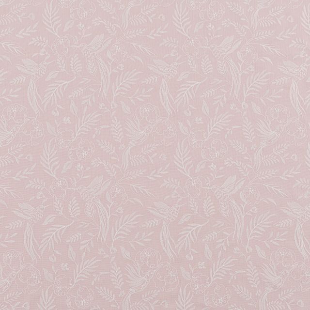 Bill Beaumont Sunset Daylily Peony