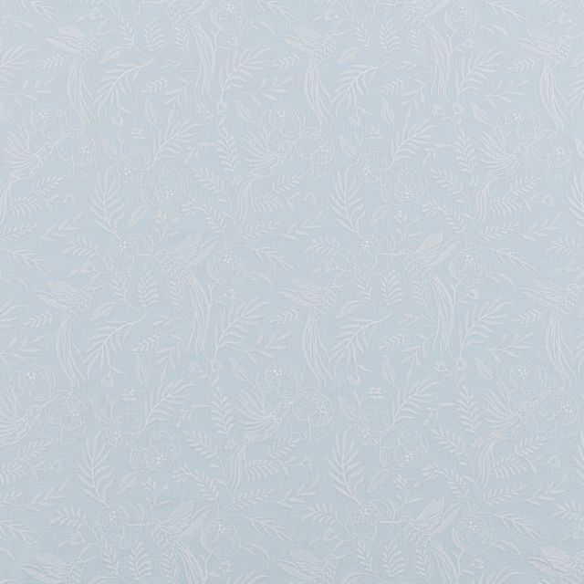 Bill Beaumont Sunset Daylily Sky Blue