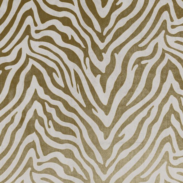 Bill Beaumont Urban Jungle Eva Rainforest