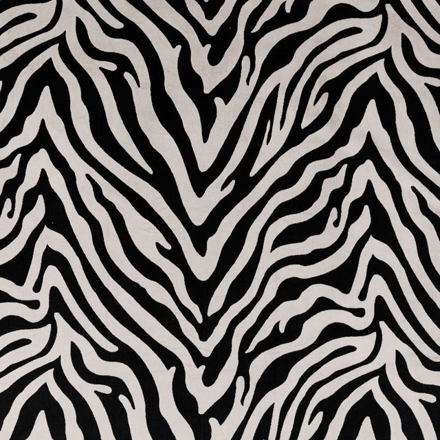 Bill Beaumont Urban Jungle Eva Zebra