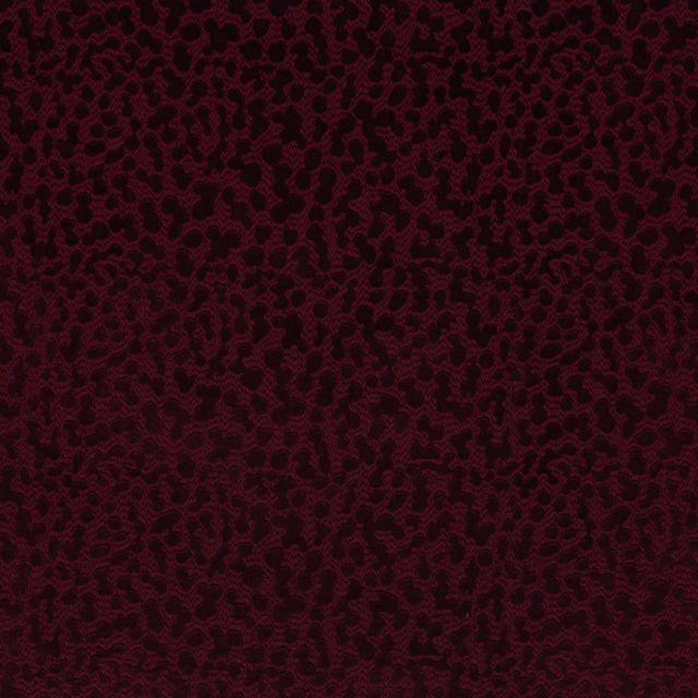 Bill Beaumont Urban Jungle Java Plum