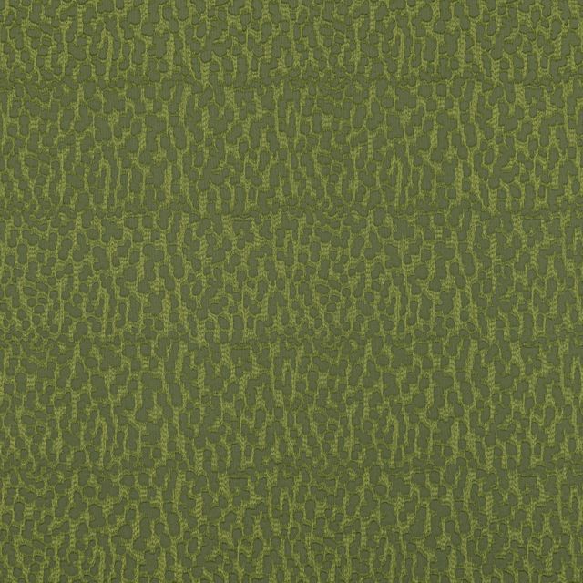 Bill Beaumont Urban Jungle Java Rainforest