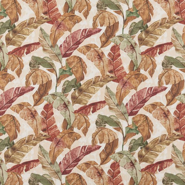 Bill Beaumont Urban Jungle Malalo Spice