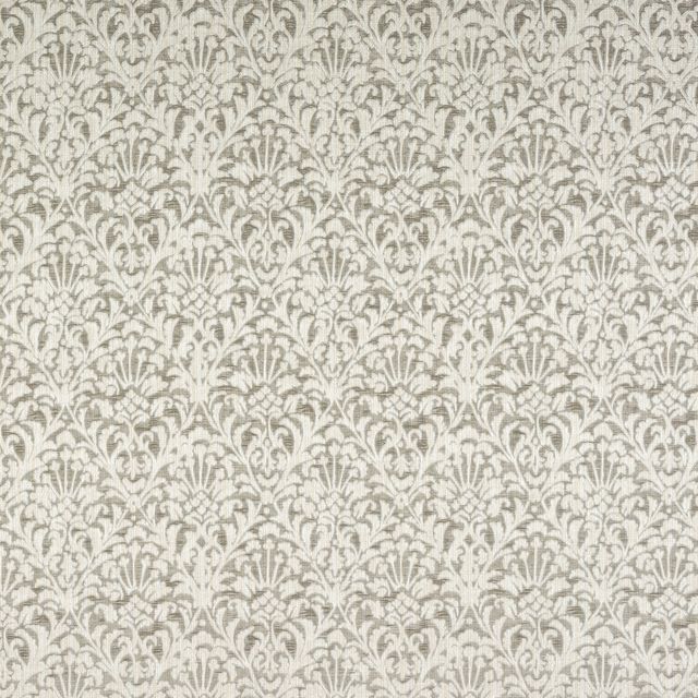 Fryetts Florentina Cora Mushroom