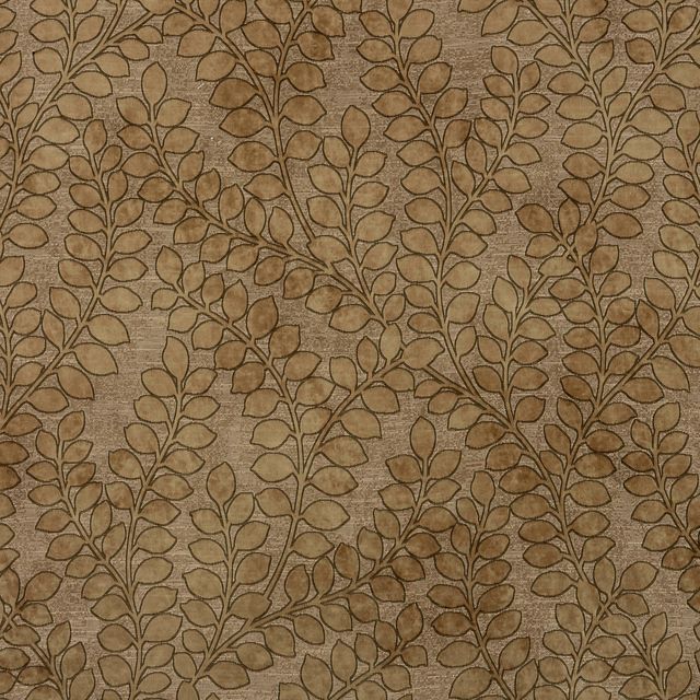 Fryetts Florentina Folia Ochre