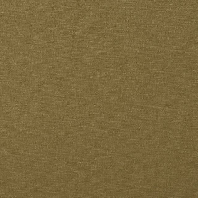 Porter & Stone Carrera Carrera Olive