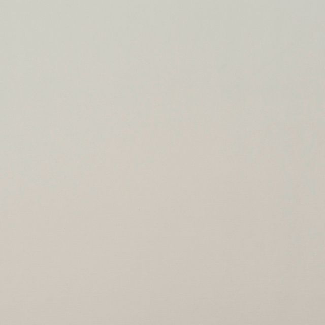 Porter & Stone Carrera Carrera White